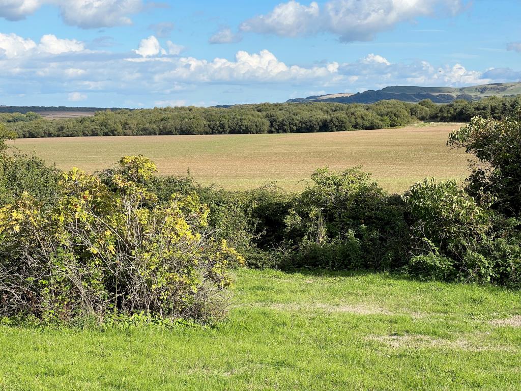 Lot: 53 - RURAL FREEHOLD COTTAGE FOR REFURBISHMENT ON A 0.4 ACRE PLOT - View from Property